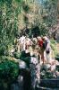 My folks climbing up to the Fonts d'Algar waterfalls in the mountains behind Xerles.